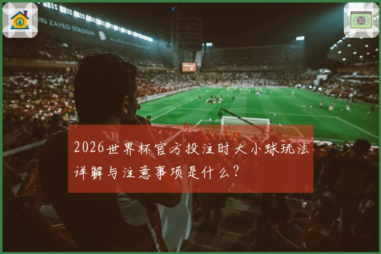 2026世界杯官方投注时大小球玩法详解与注意事项是什么？