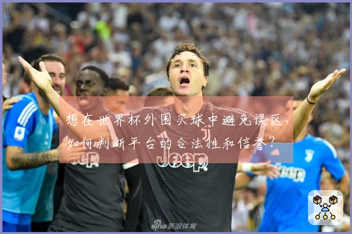 想在世界杯外围买球中避免误区，如何判断平台的合法性和信誉？